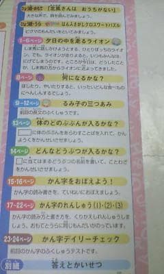 サピックス ＳＡＰＩＸ＊デイリーサピックス＊２年 小２＊国語／全１８回 完全版