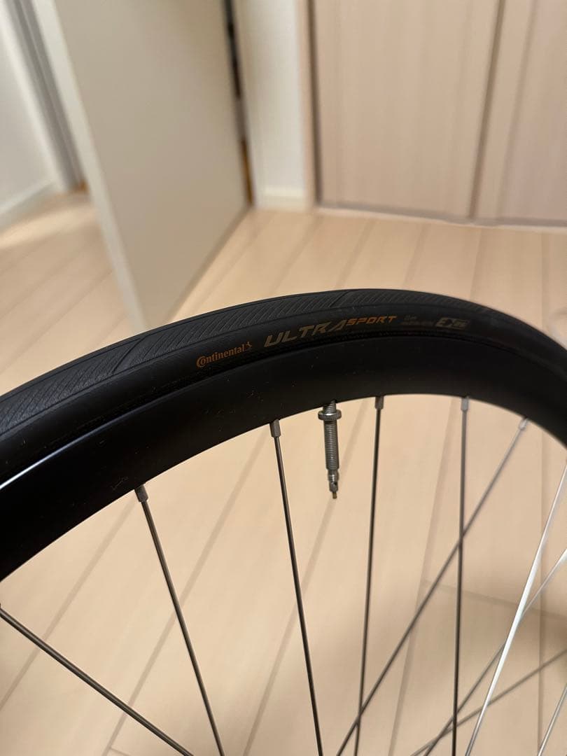 MICHE PISTARD WR クリンチャー