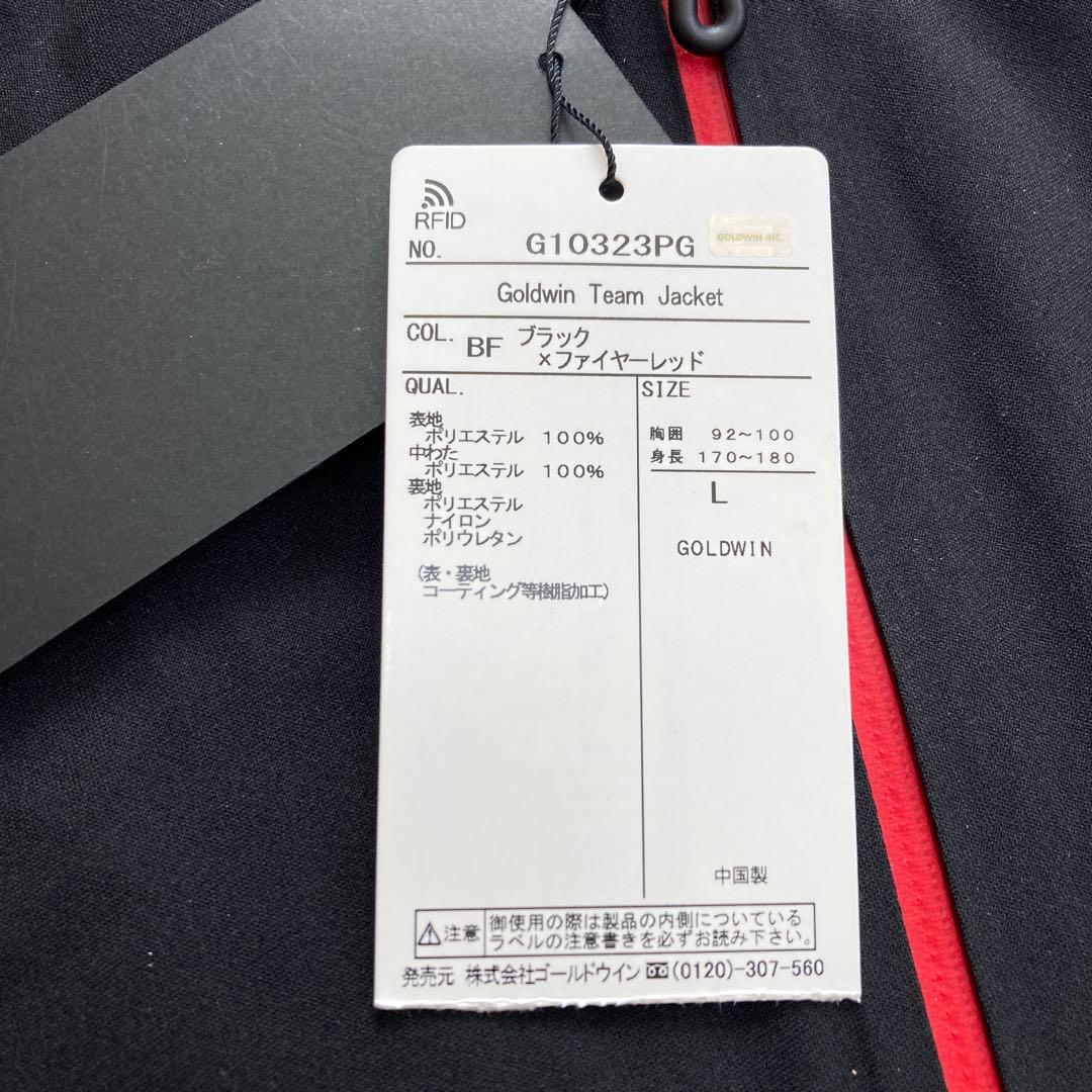 【未使用】ゴールドウィンGOLDWINスキーウェア スキー スノボLメンズ黒