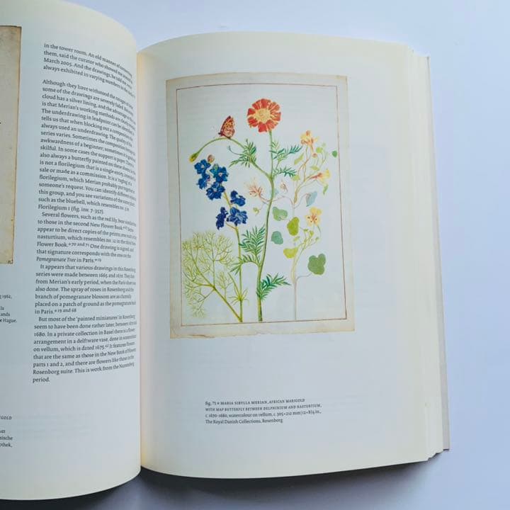 マリア・シビラ・メリアンと娘たち　科学と芸術の女性