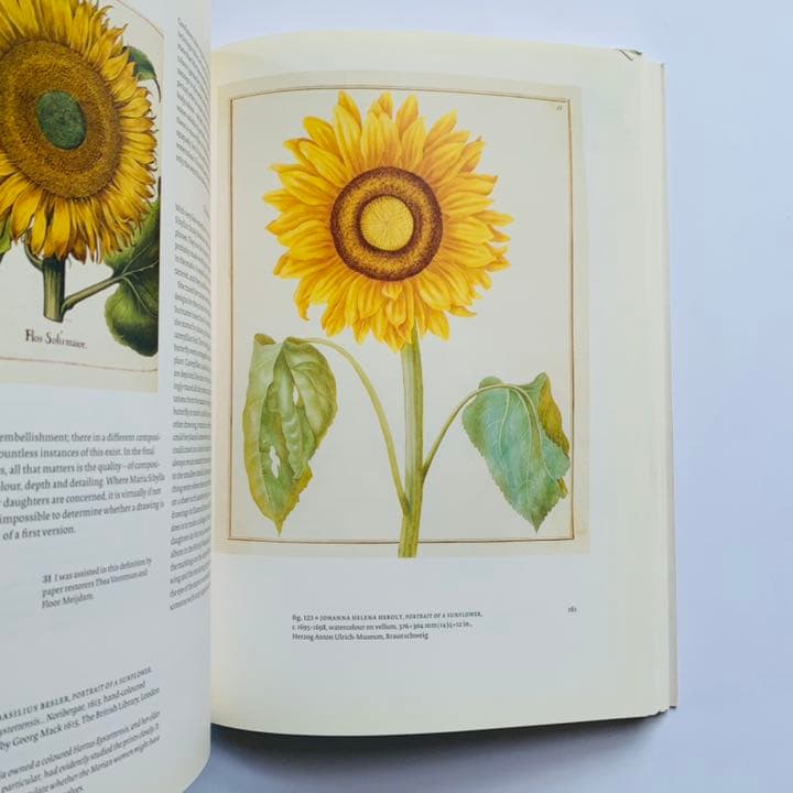 マリア・シビラ・メリアンと娘たち　科学と芸術の女性