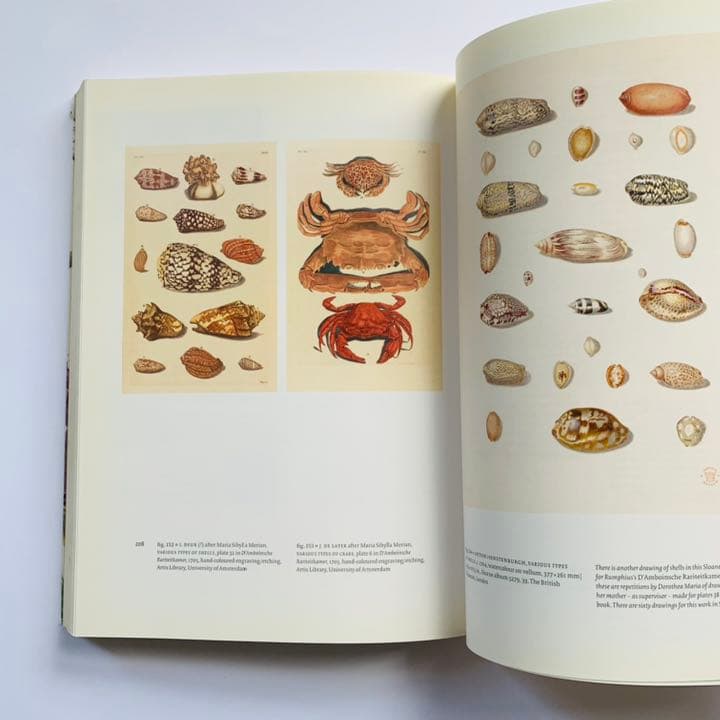 マリア・シビラ・メリアンと娘たち　科学と芸術の女性