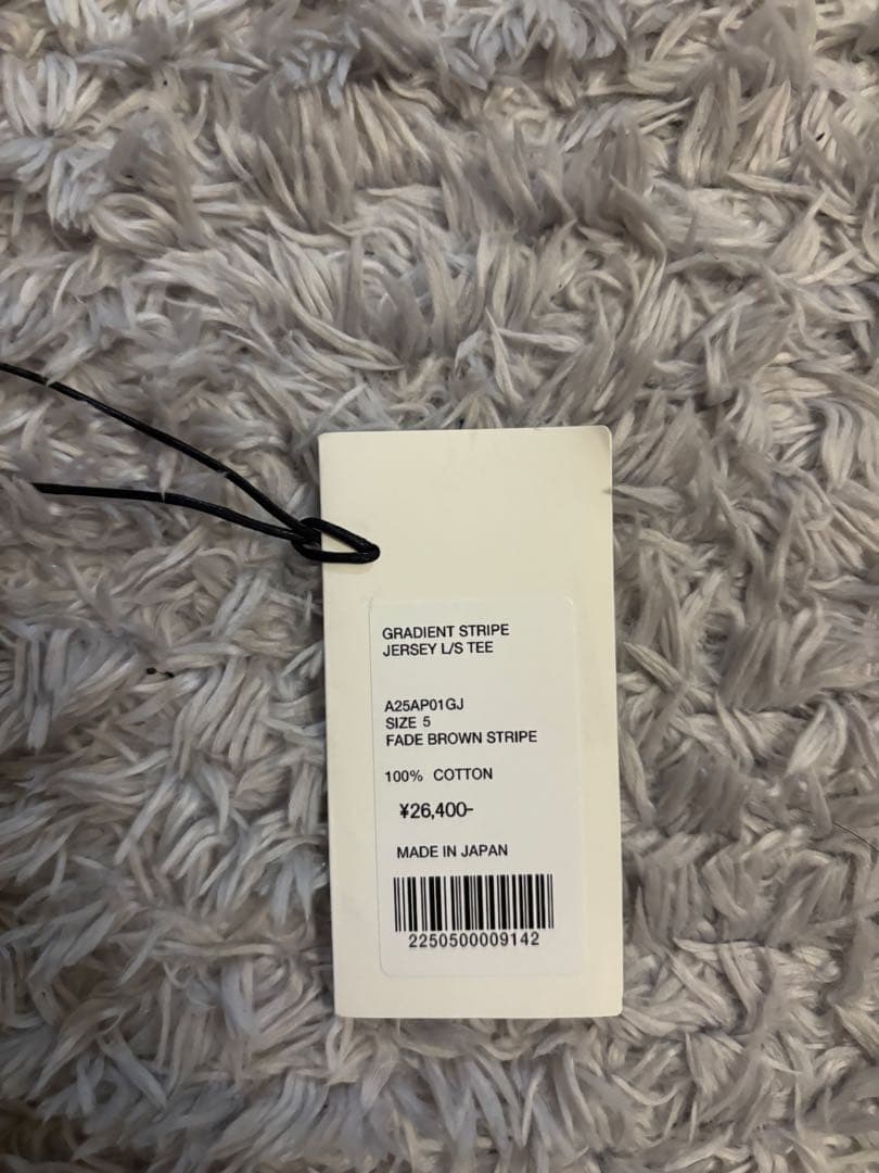 トップス auralee GRADIENT STRIPE JERSEY L/S TEE 5