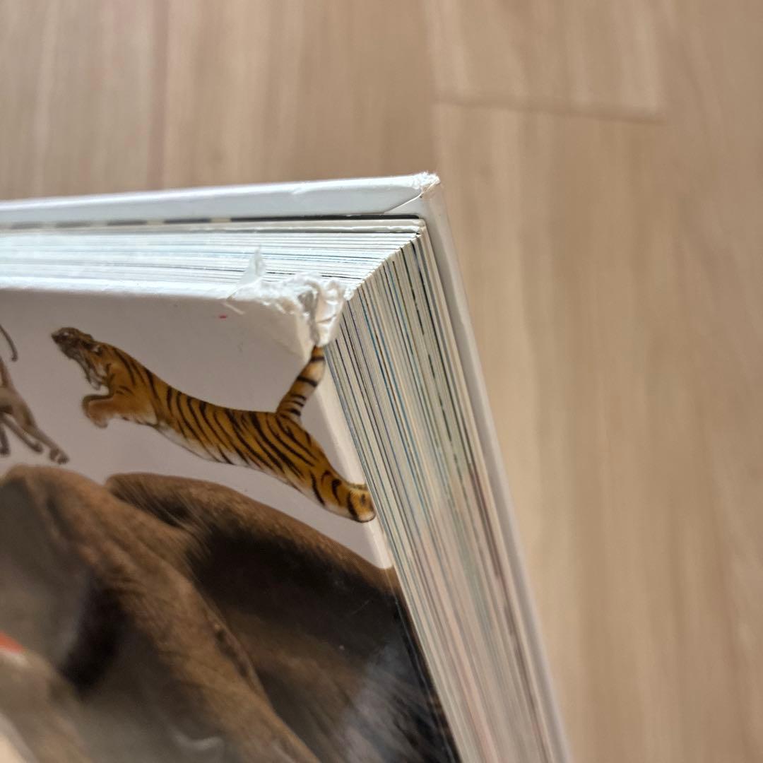 小学館のNEO 講談社動く図鑑move 12冊セット