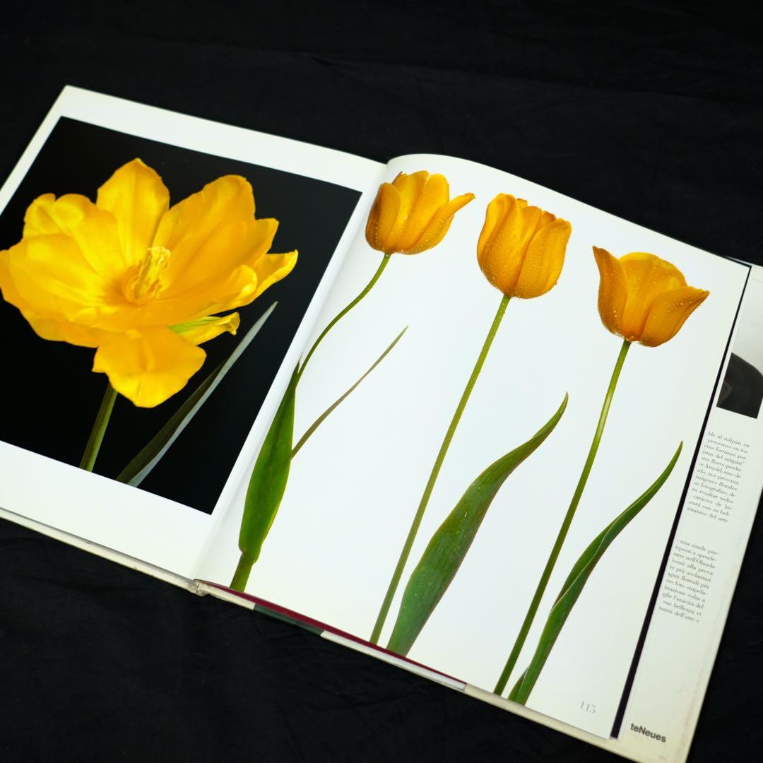 TULIPS by PETER ARNOLD チューリップ　花の写真集　洋書