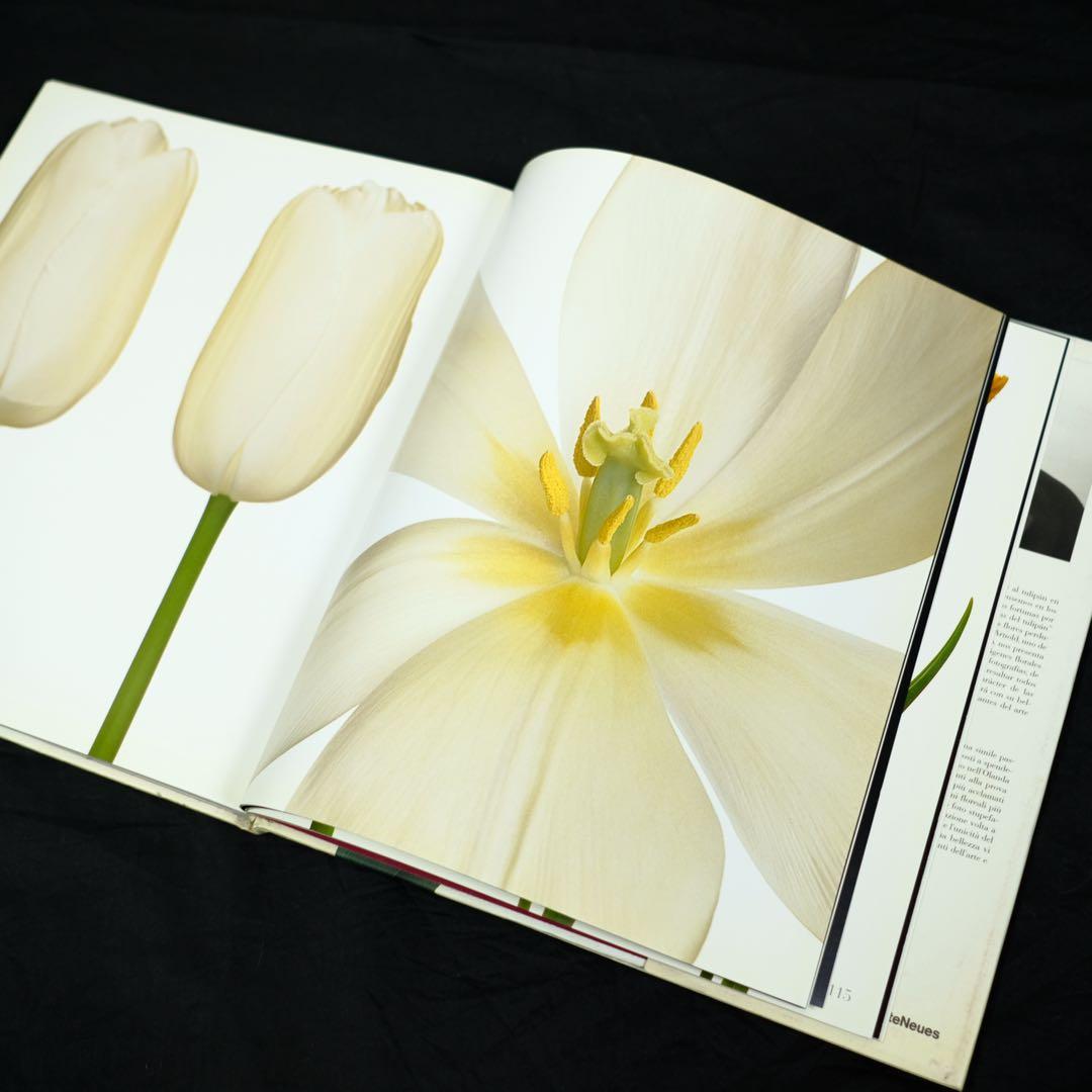 TULIPS by PETER ARNOLD チューリップ　花の写真集　洋書