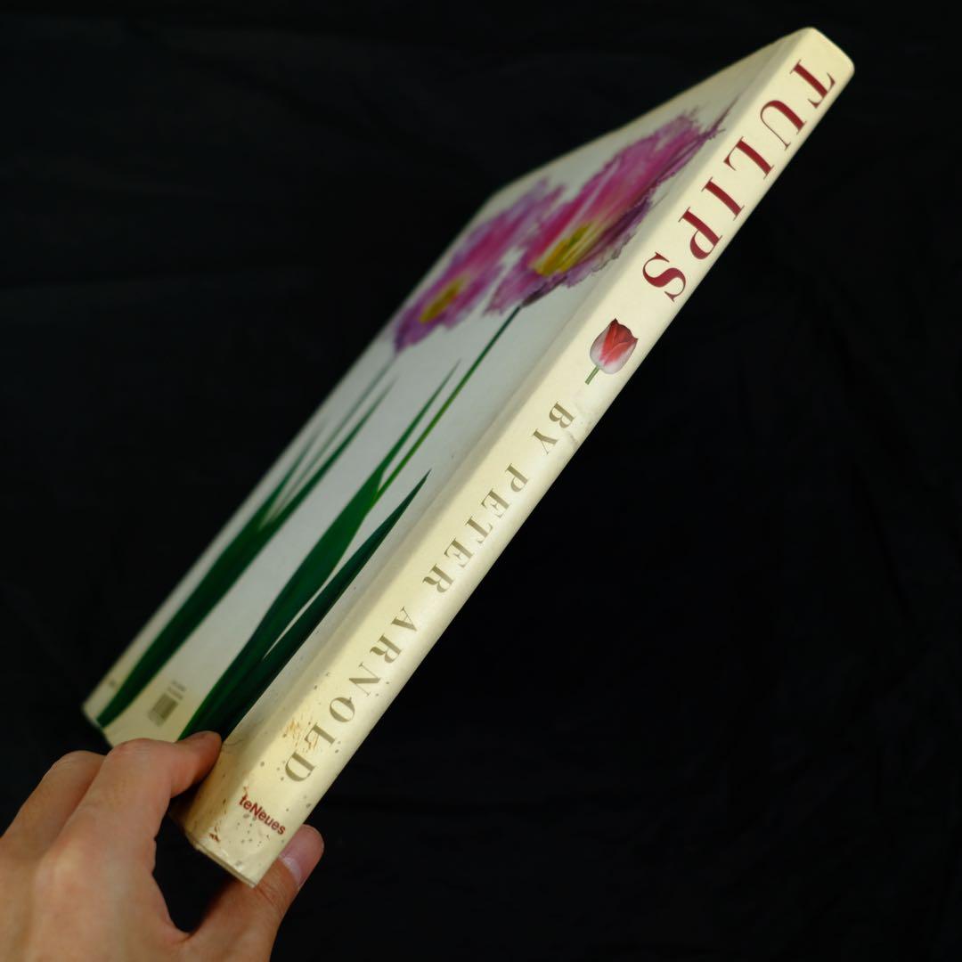 TULIPS by PETER ARNOLD チューリップ　花の写真集　洋書