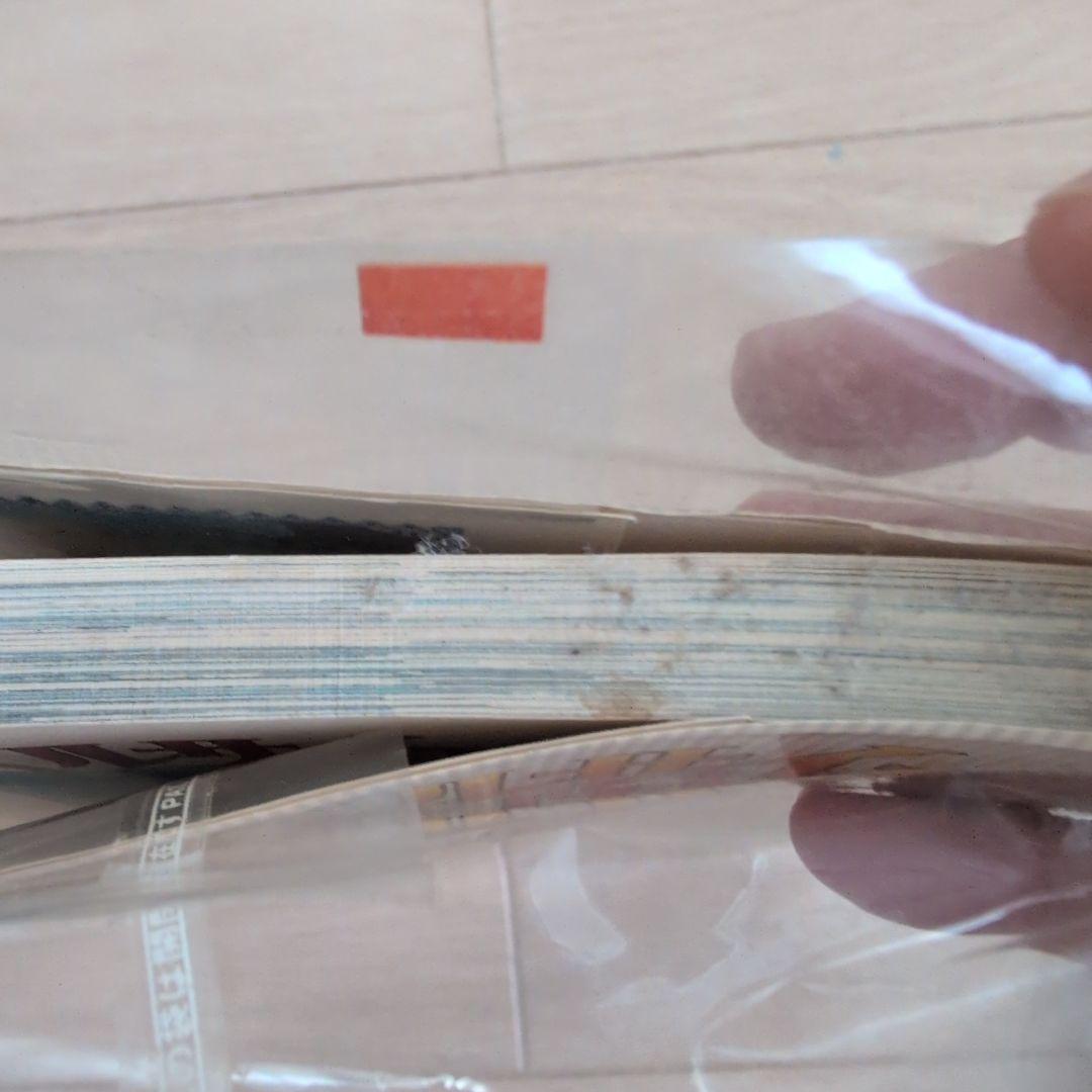 レア！アニメシリーズベルサイユのばら 全巻