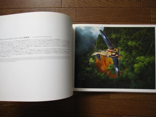 フライング・カラーズ 2　航空イラストレーション作品集　小池繁夫