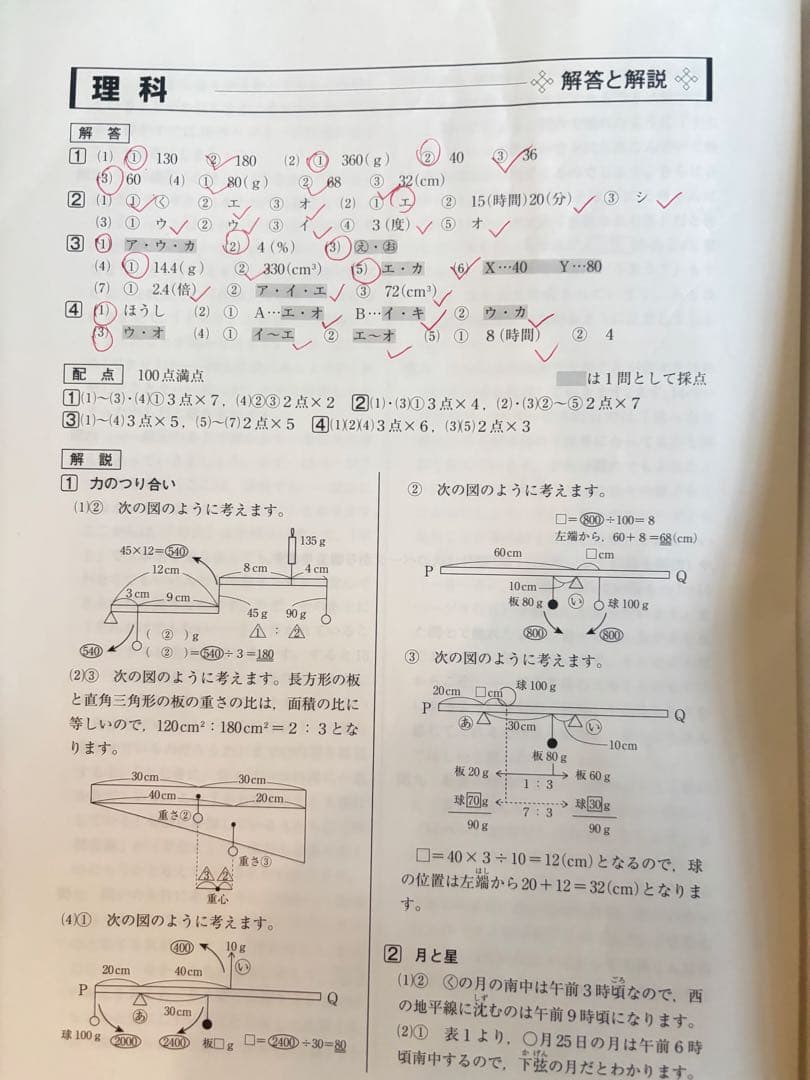 SAPIX サピックス 最新6年生2024 2025 一年間分テスト