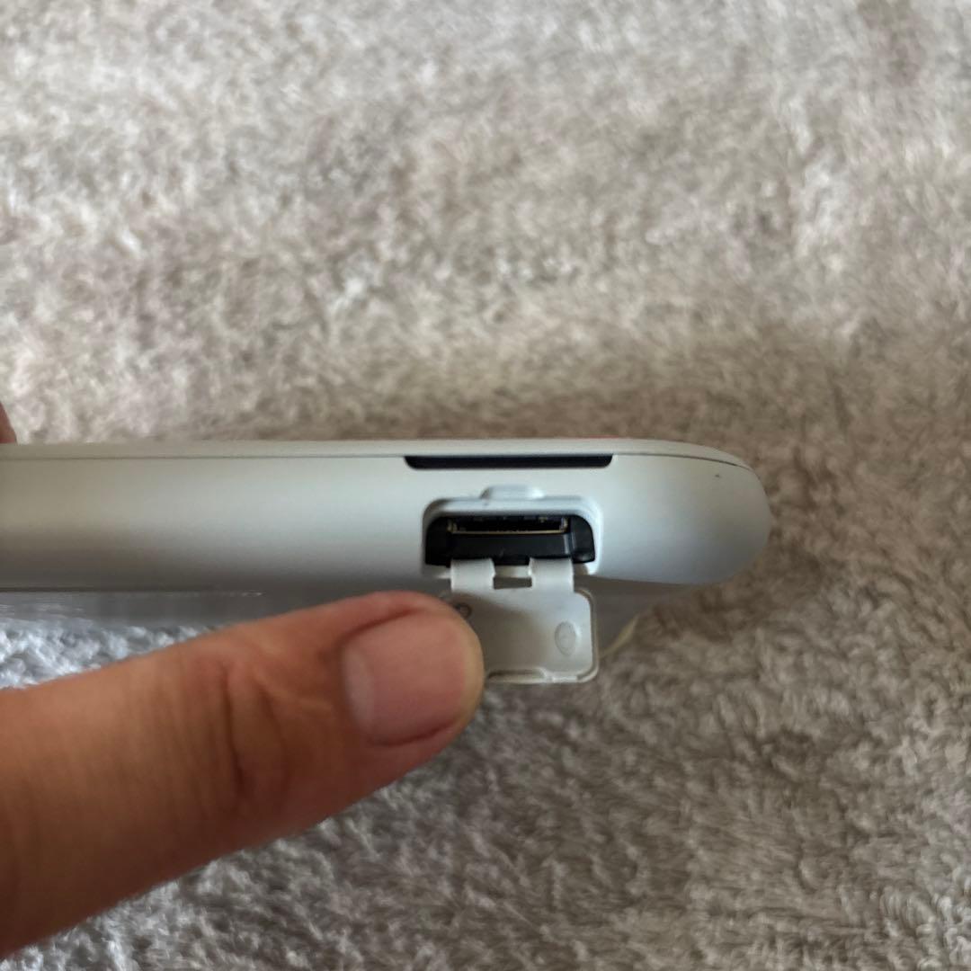 Nintendo Switch Lite 本体 ポケモン ザシアン・ザマゼンタ