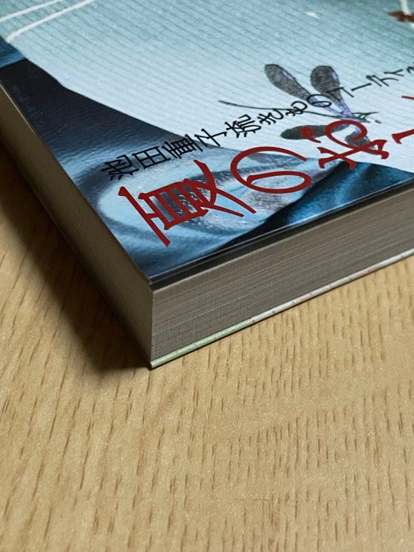 半衿のおしゃれ・夏のおしゃれ2点おまとめ、池田重子流きものコーディネート