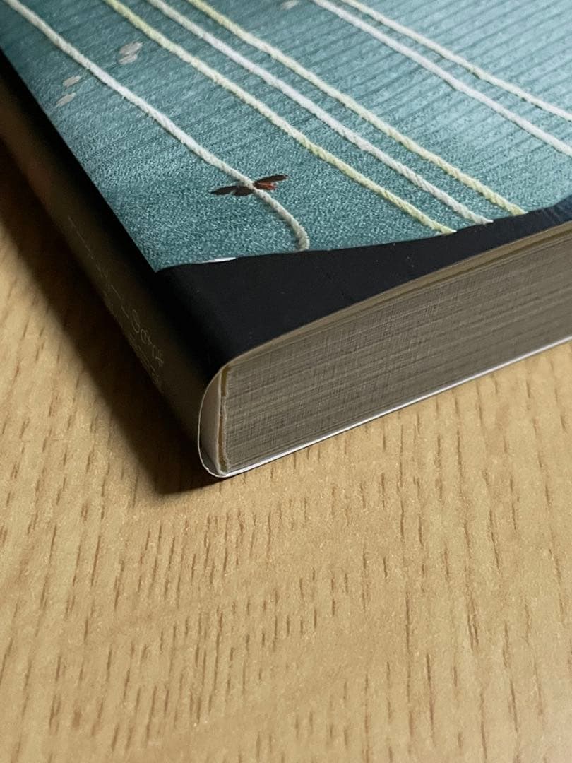 半衿のおしゃれ・夏のおしゃれ2点おまとめ、池田重子流きものコーディネート