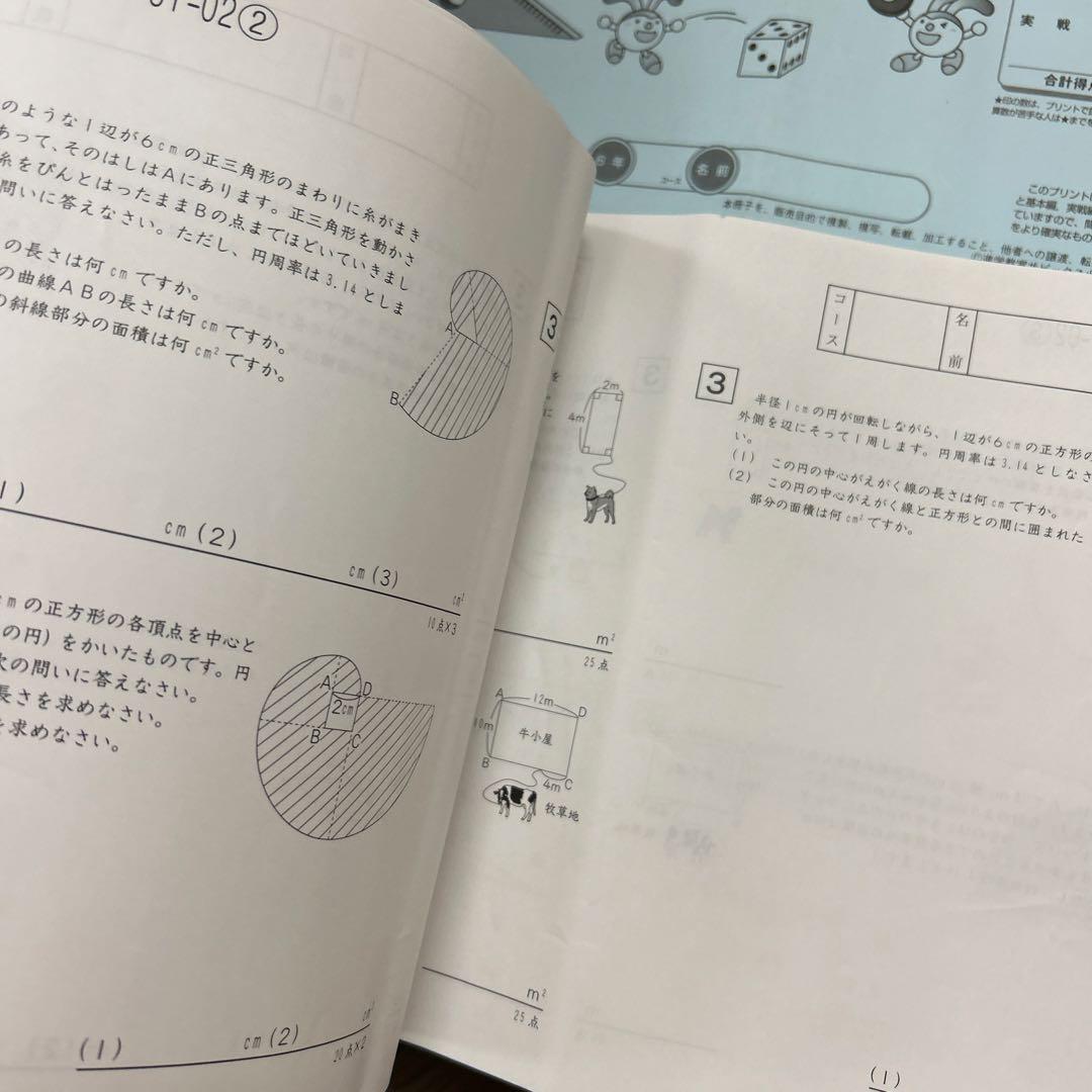 ⑳ね　サピックス　SAPIX 6年　算数　ディリーサポート　一年分