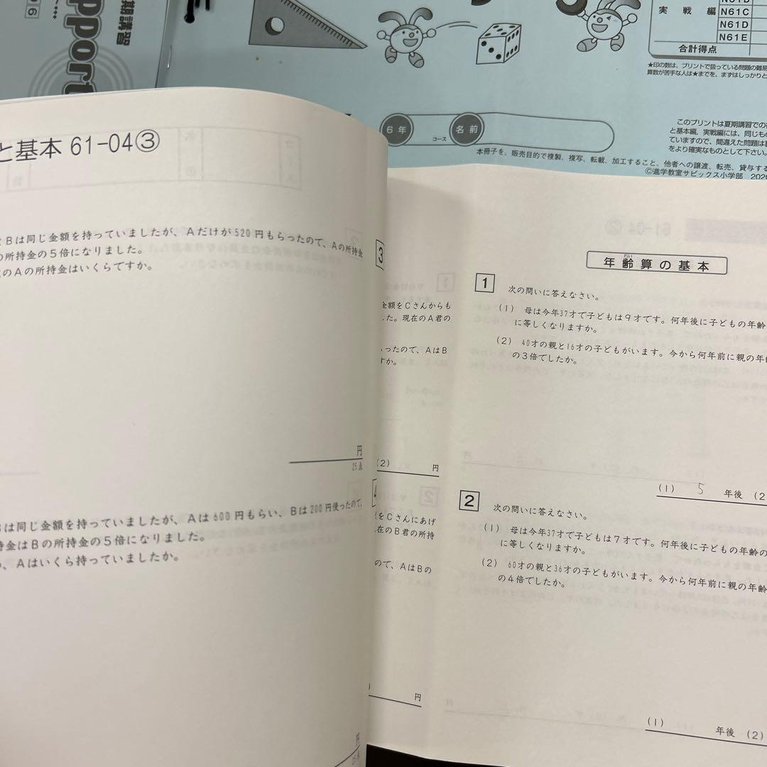 ⑳ね　サピックス　SAPIX 6年　算数　ディリーサポート　一年分