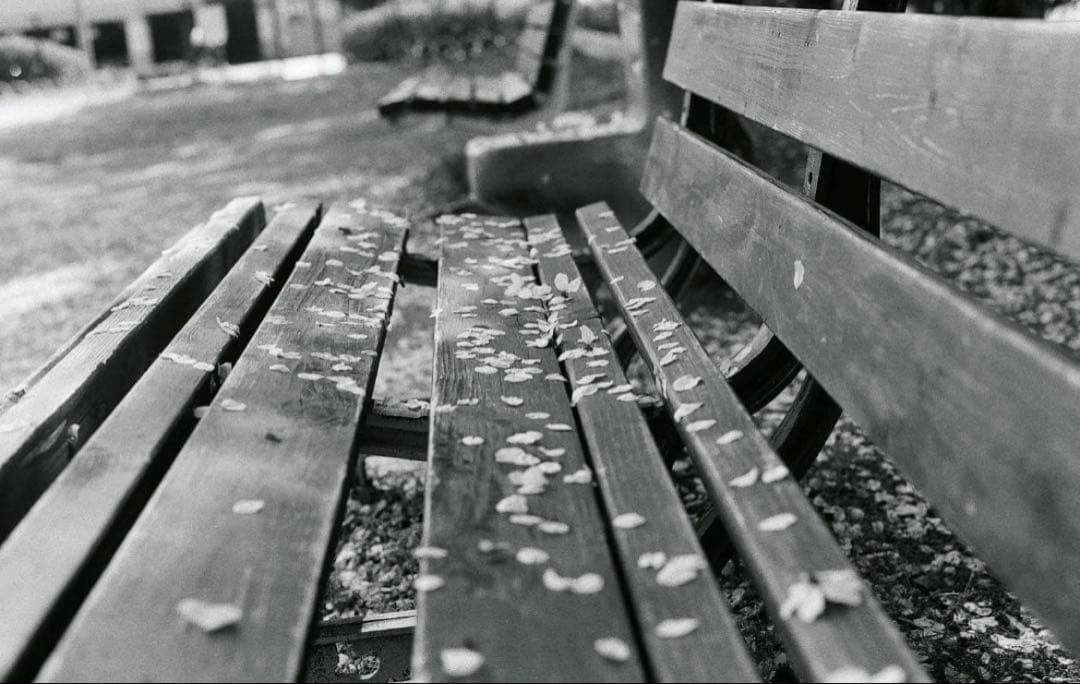 ⭐️超美品・Nikomat FTN・作例有り⭐️