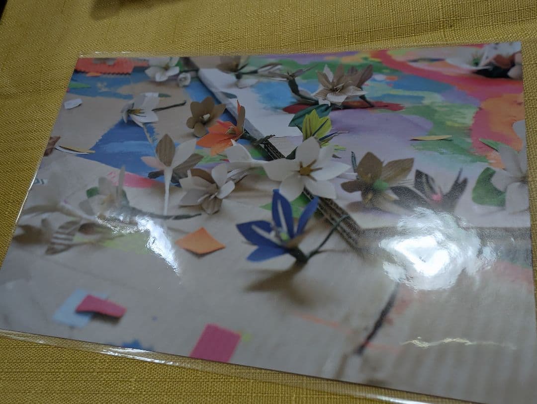 Cocco『クチナシ』◆初回限定盤A 1,111セット