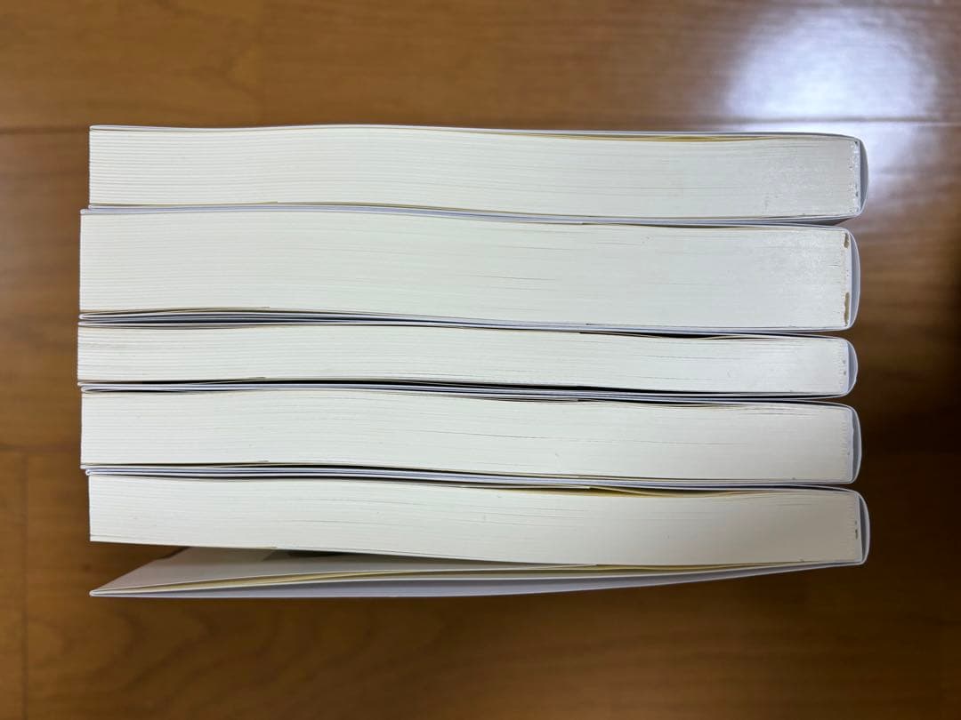 【新品】司法書士試験松本の新教科書5ケ月合格法リアリスティック　5冊セット