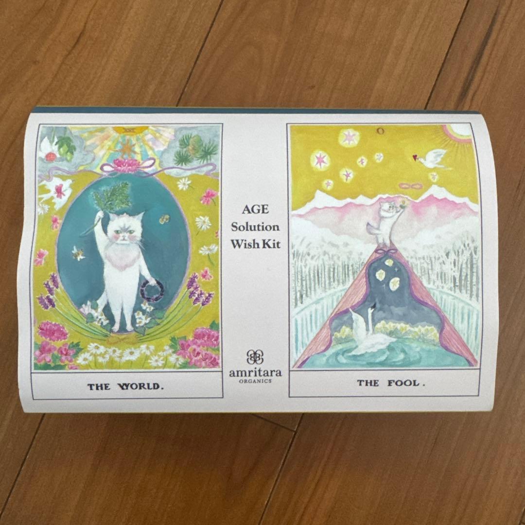 新品【amritara】エイジ ソリューション ウィッシュ キット