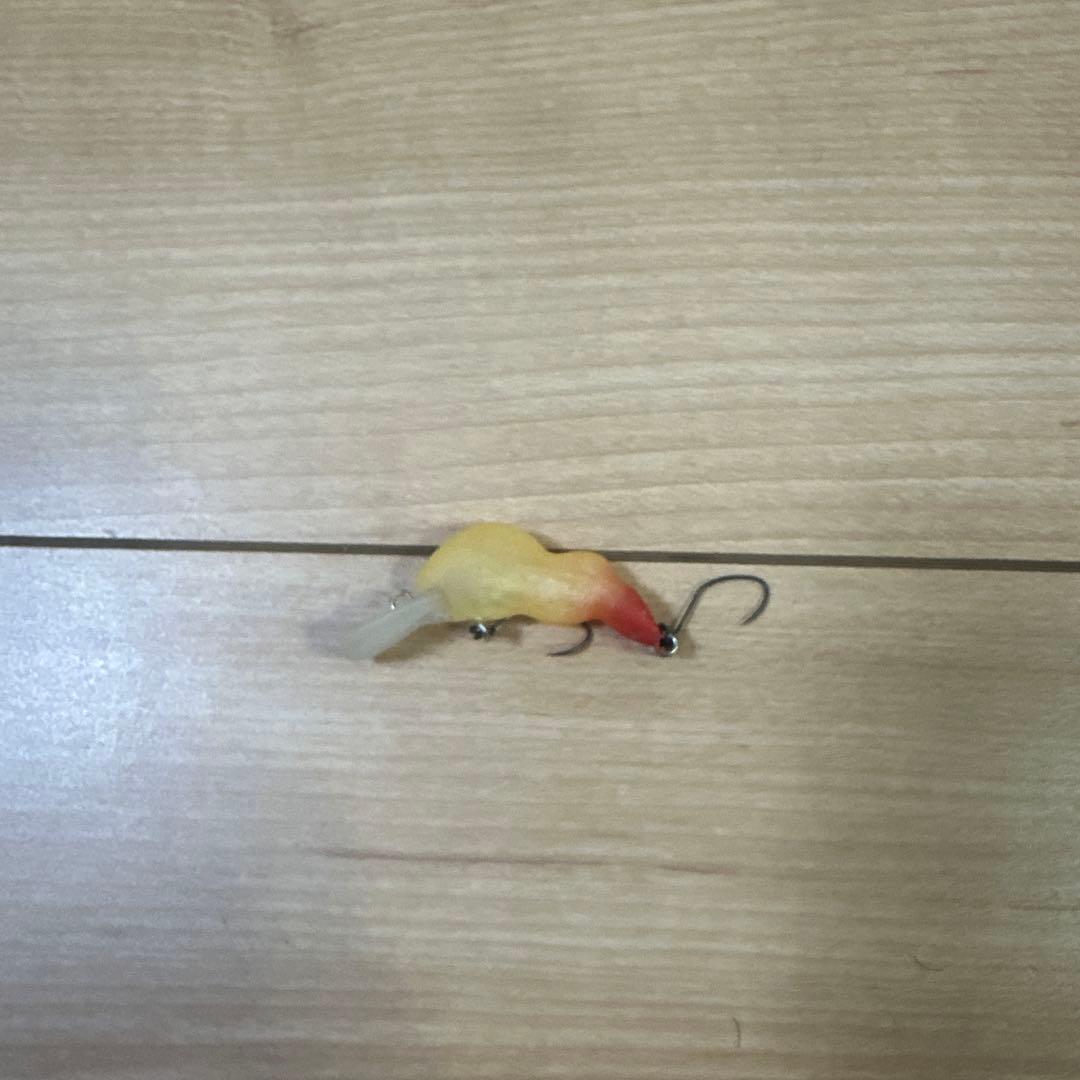 トラウトルアーセット