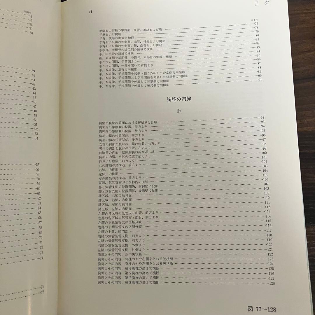 臨床応用局所解剖図譜　第2巻Pernkopf 解剖学アトラス ペルンコップ