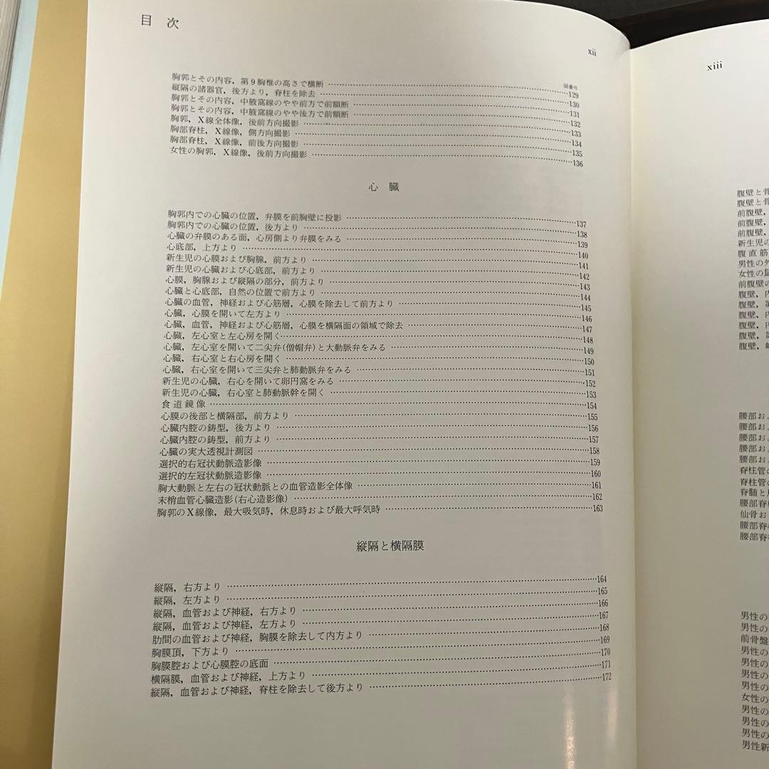 臨床応用局所解剖図譜　第2巻Pernkopf 解剖学アトラス ペルンコップ