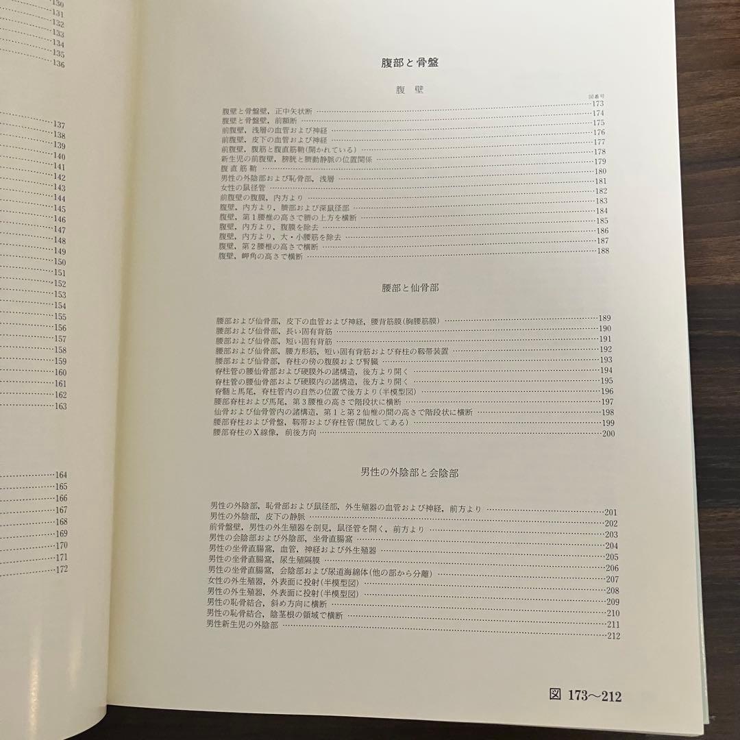 臨床応用局所解剖図譜　第2巻Pernkopf 解剖学アトラス ペルンコップ