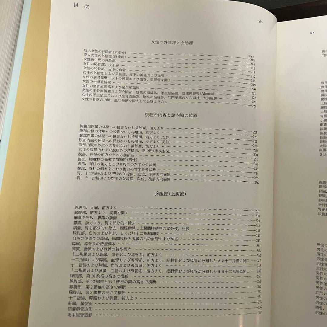 臨床応用局所解剖図譜　第2巻Pernkopf 解剖学アトラス ペルンコップ