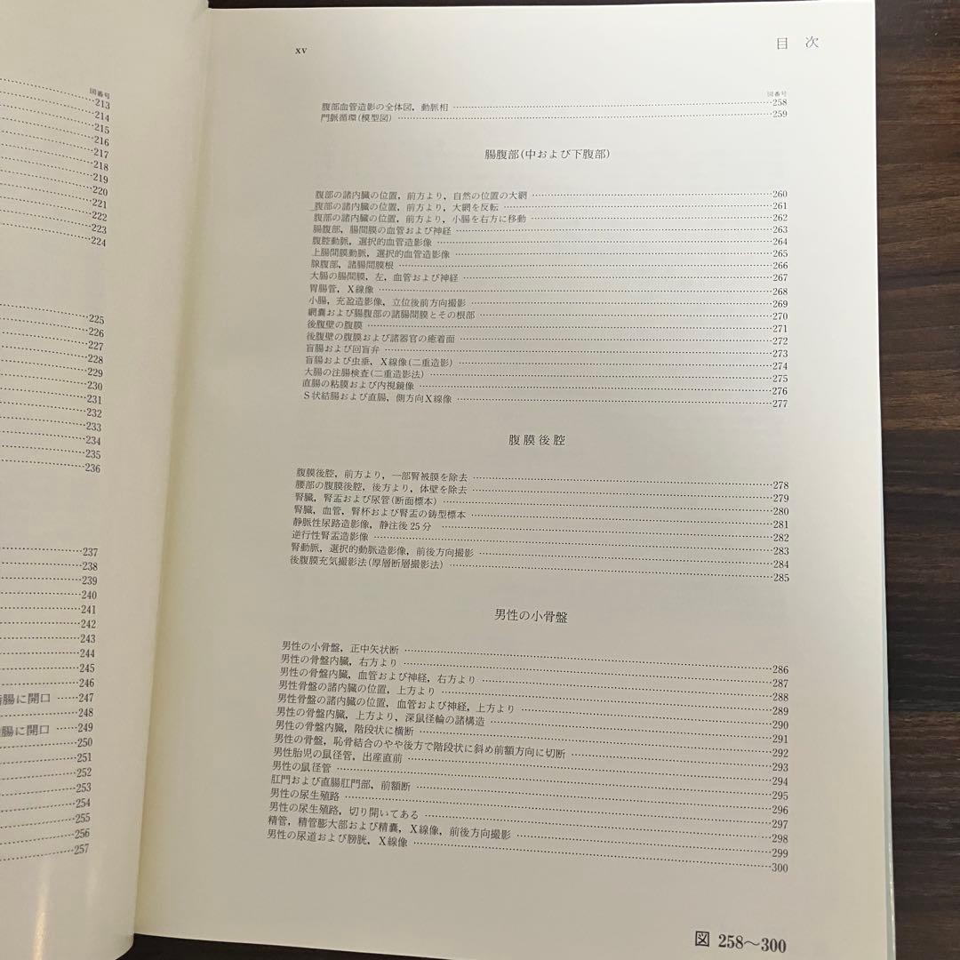 臨床応用局所解剖図譜　第2巻Pernkopf 解剖学アトラス ペルンコップ