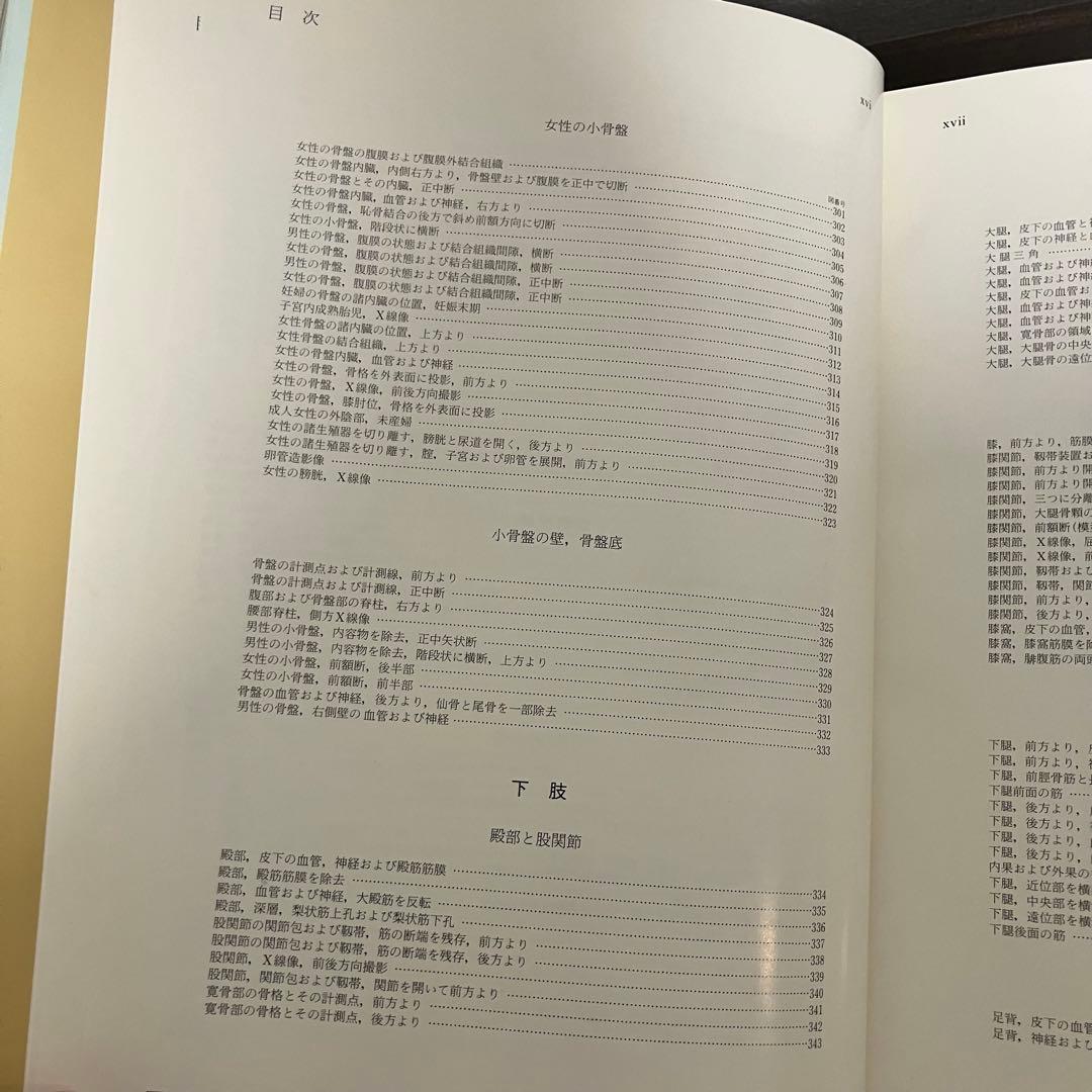 臨床応用局所解剖図譜　第2巻Pernkopf 解剖学アトラス ペルンコップ