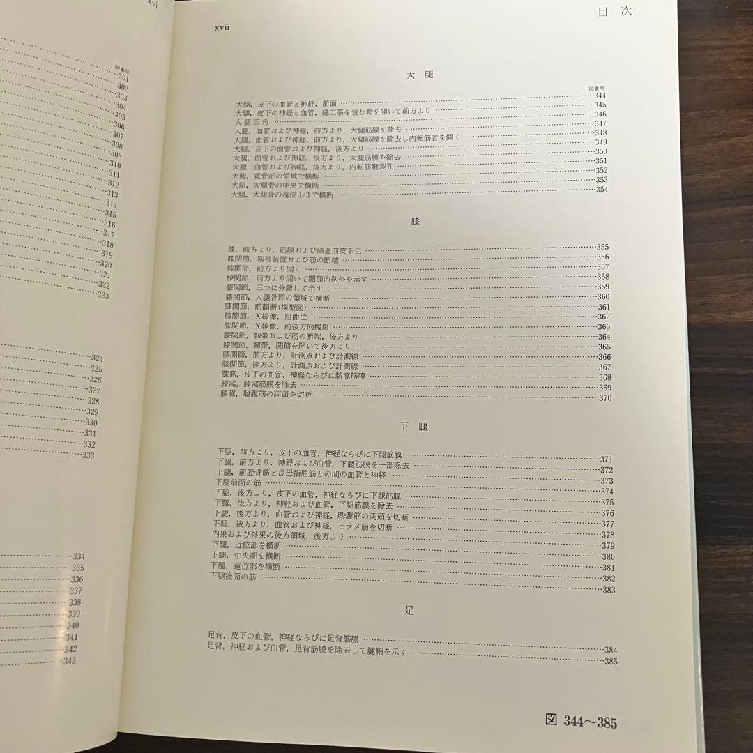 臨床応用局所解剖図譜　第2巻Pernkopf 解剖学アトラス ペルンコップ