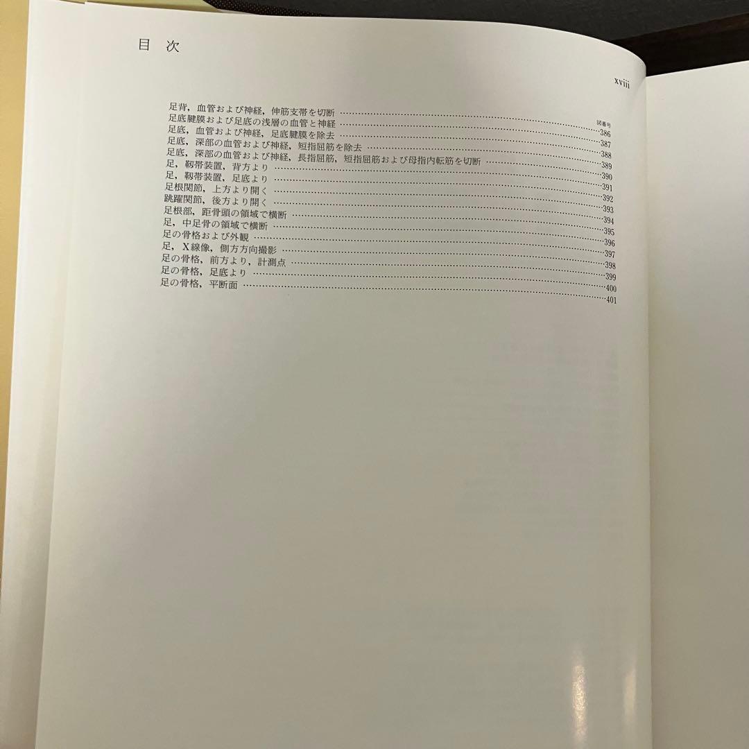 臨床応用局所解剖図譜　第2巻Pernkopf 解剖学アトラス ペルンコップ