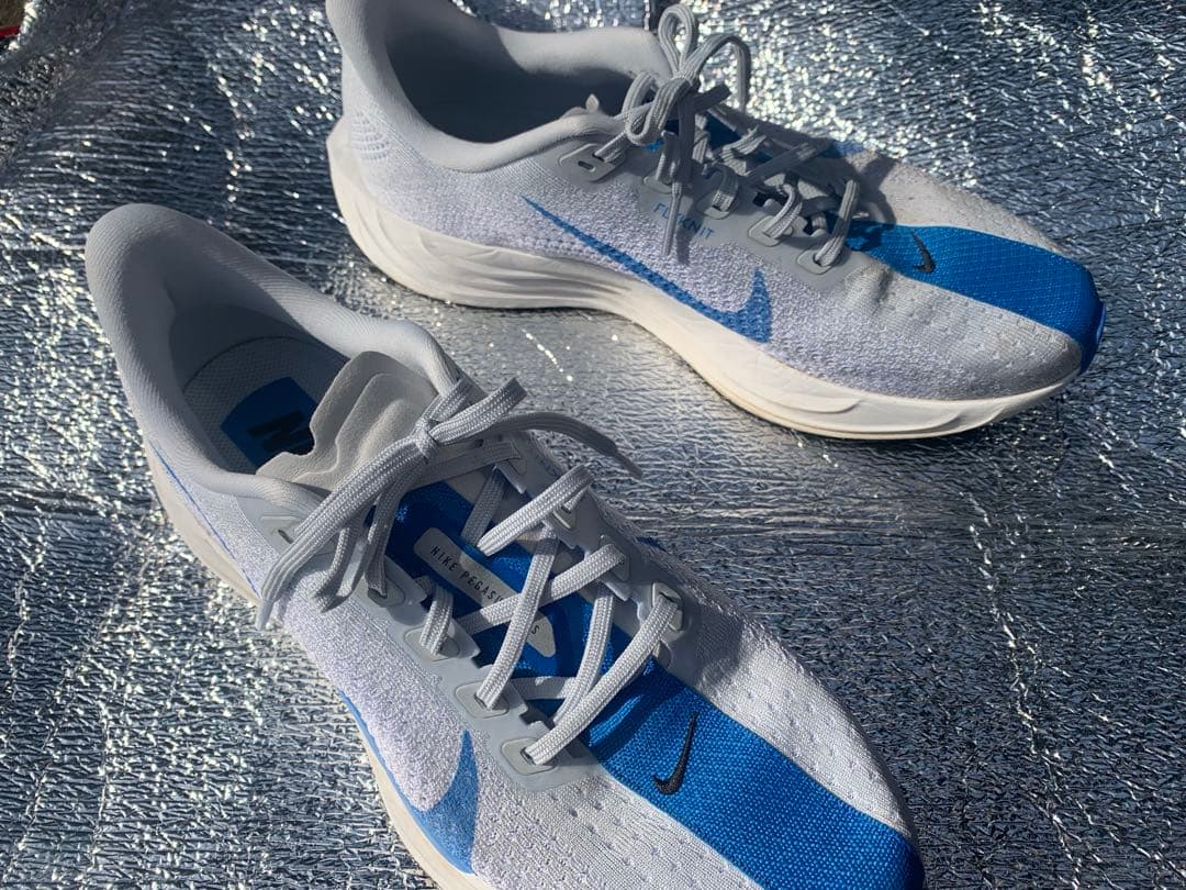 ペガサスプラス　27.5cm (着用2度、6km走)