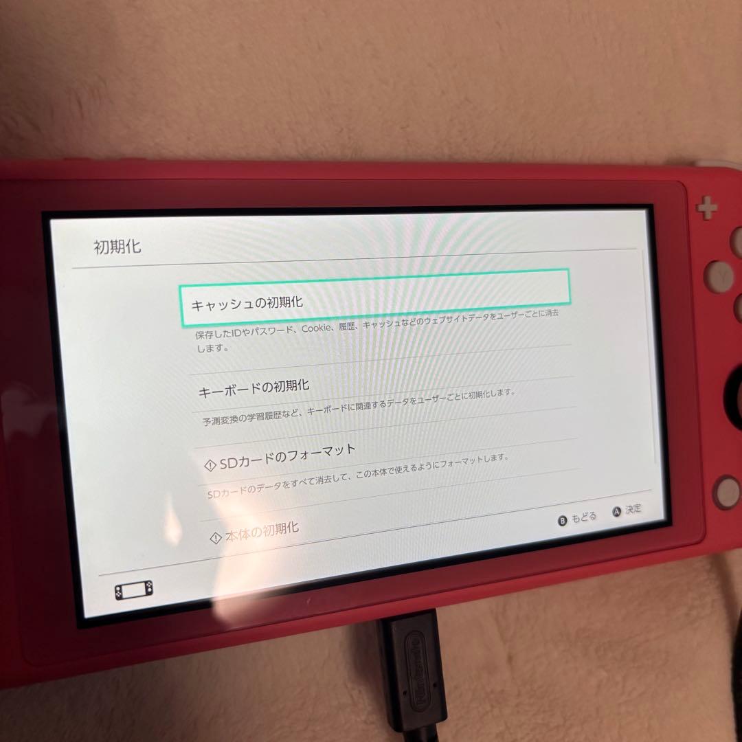 Nintendo Switch Lite ピンク 本体とケース