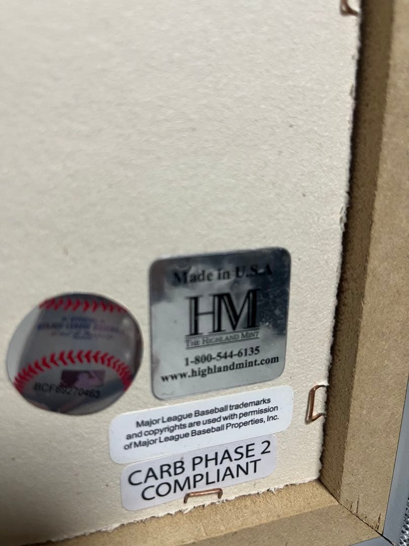 大谷翔平　ドジャース