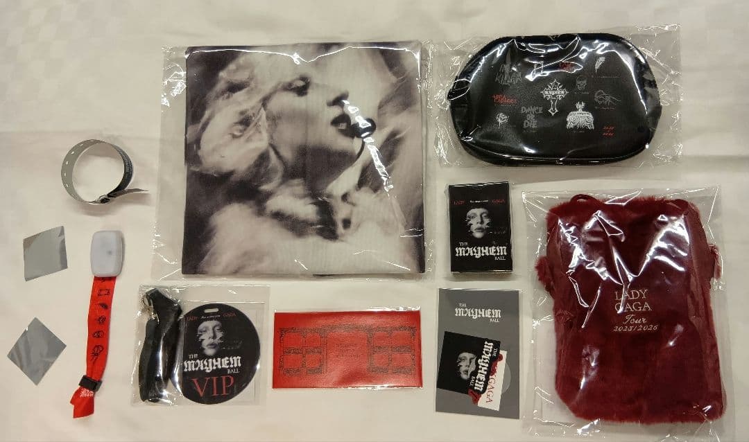 ★Lady Gaga The MAYHEM Ball VIP GOLD 一式
