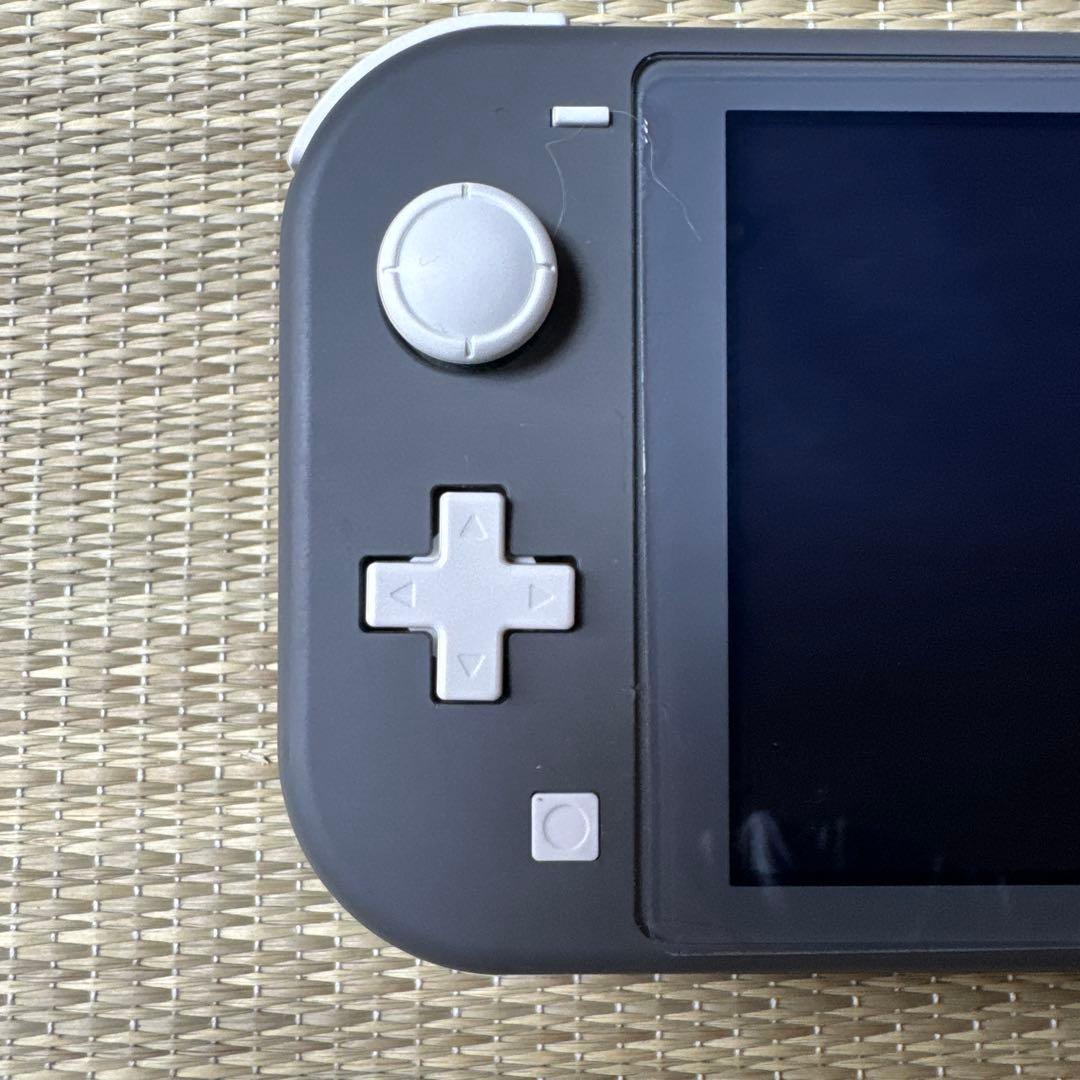 Nintendo Switch Lite 本体 グレー　ケース付き