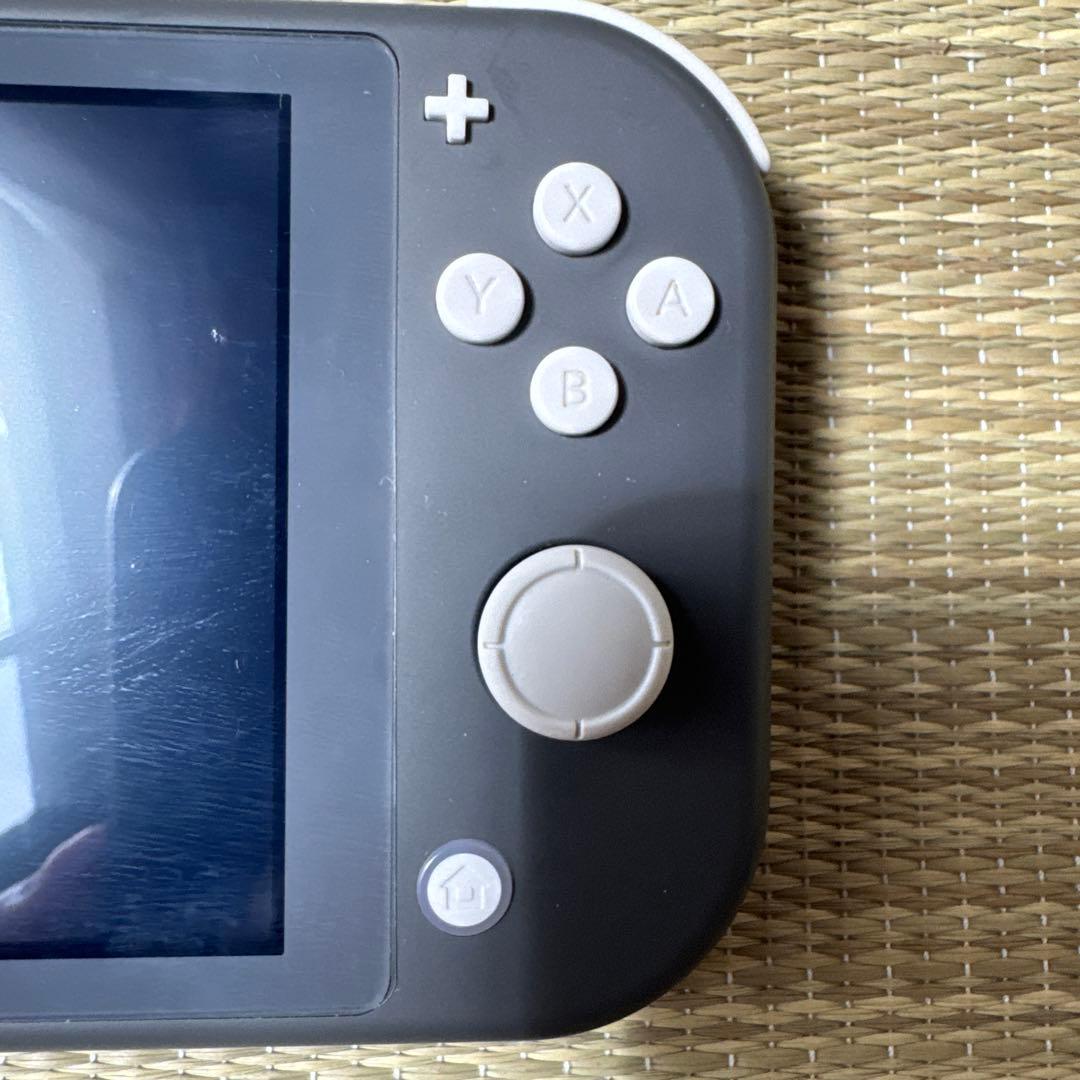 Nintendo Switch Lite 本体 グレー　ケース付き