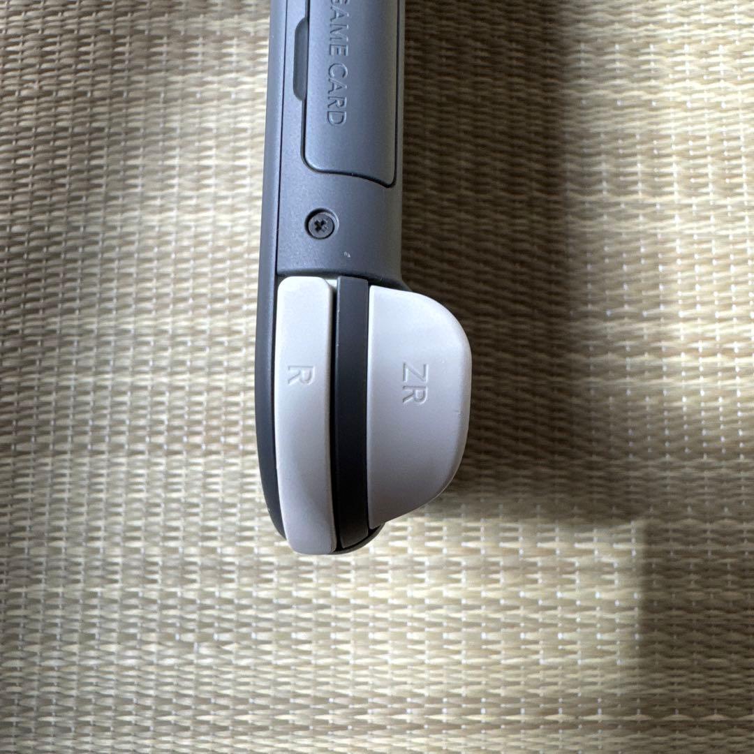 Nintendo Switch Lite 本体 グレー　ケース付き