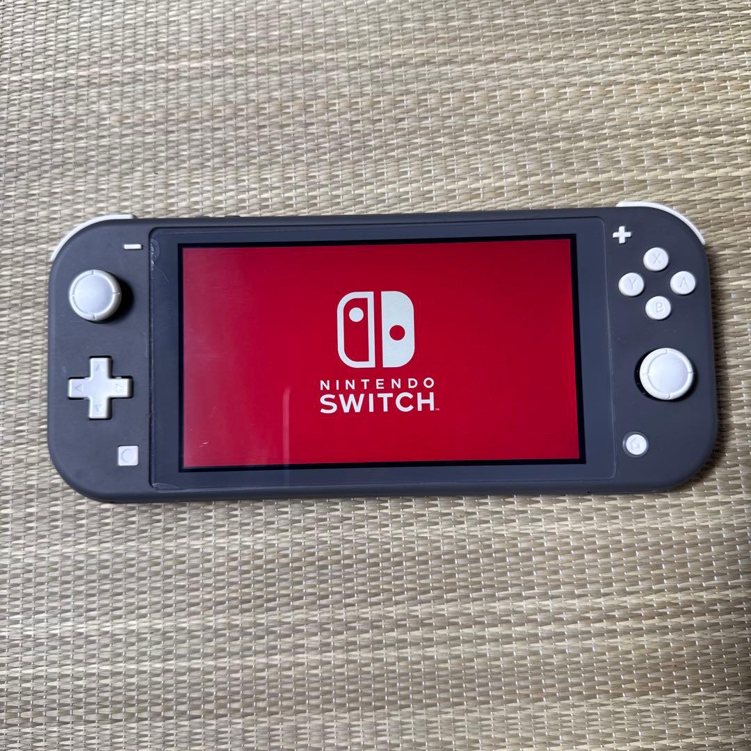 Nintendo Switch Lite 本体 グレー　ケース付き
