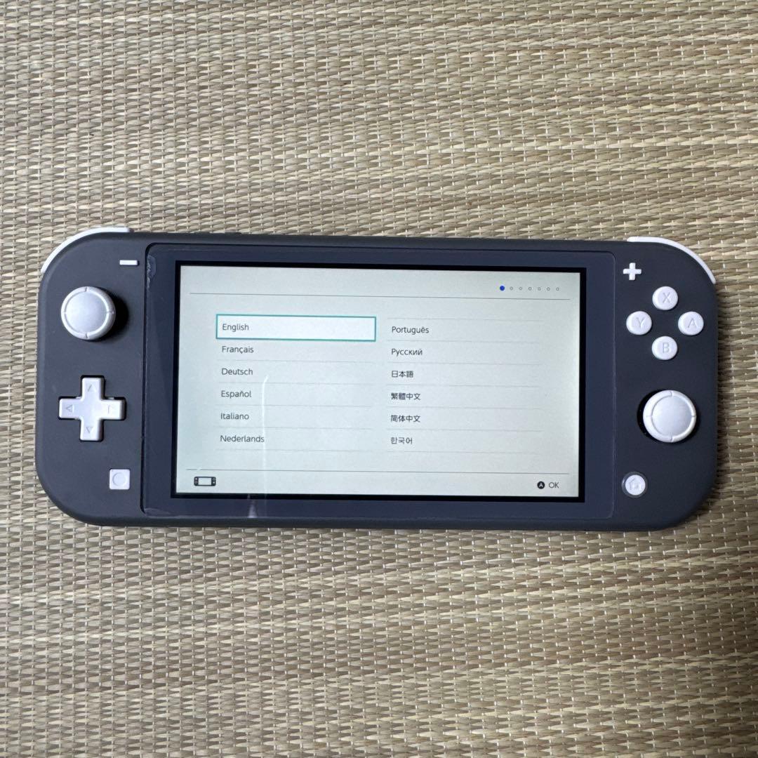 Nintendo Switch Lite 本体 グレー　ケース付き