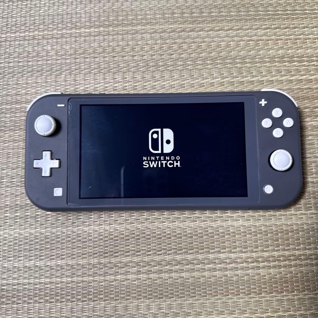 Nintendo Switch Lite 本体 グレー　ケース付き