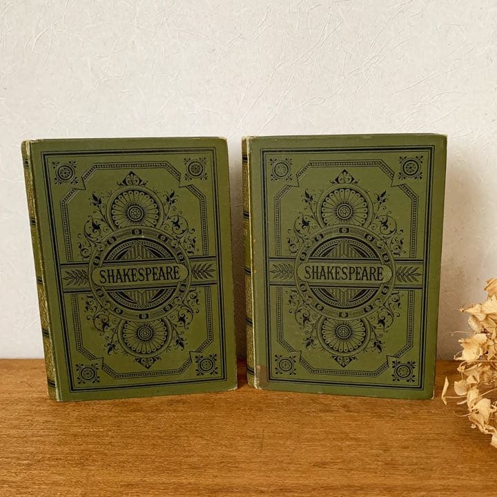 [アンティーク]ドイツのアンティーク洋書6冊セット/インテリア洋書 古書 /