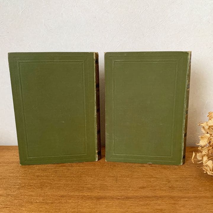 [アンティーク]ドイツのアンティーク洋書6冊セット/インテリア洋書 古書 /