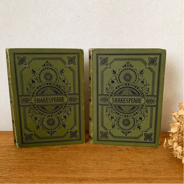 [アンティーク]ドイツのアンティーク洋書6冊セット/インテリア洋書 古書 /