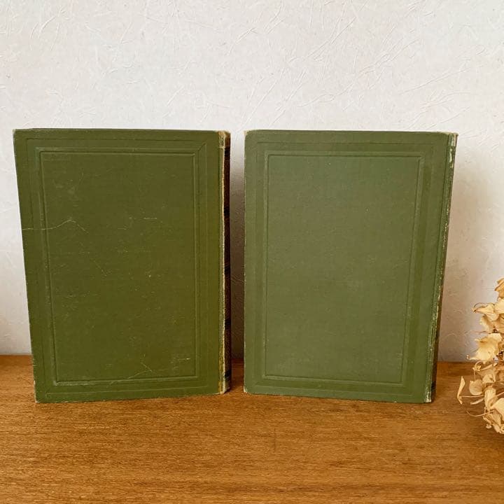 [アンティーク]ドイツのアンティーク洋書6冊セット/インテリア洋書 古書 /