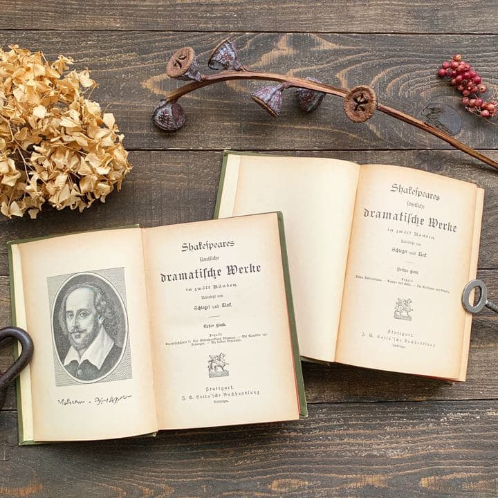 [アンティーク]ドイツのアンティーク洋書6冊セット/インテリア洋書 古書 /