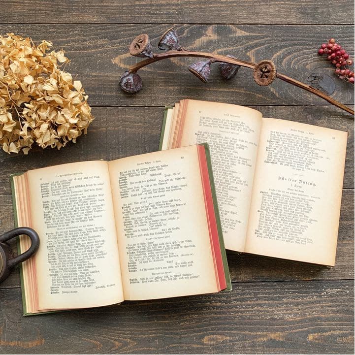 [アンティーク]ドイツのアンティーク洋書6冊セット/インテリア洋書 古書 /