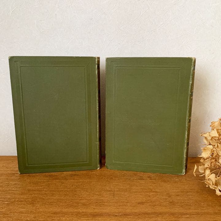 [アンティーク]ドイツのアンティーク洋書6冊セット/インテリア洋書 古書 /