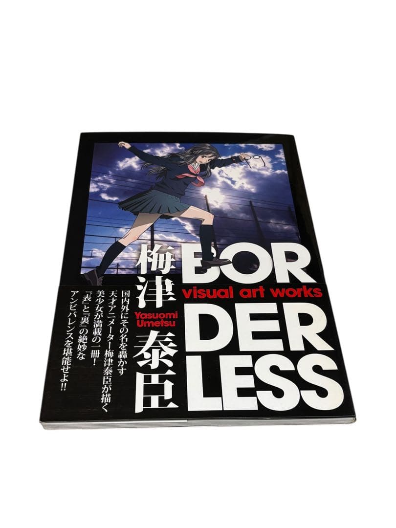 梅津泰臣 visual art works BORDERLESS